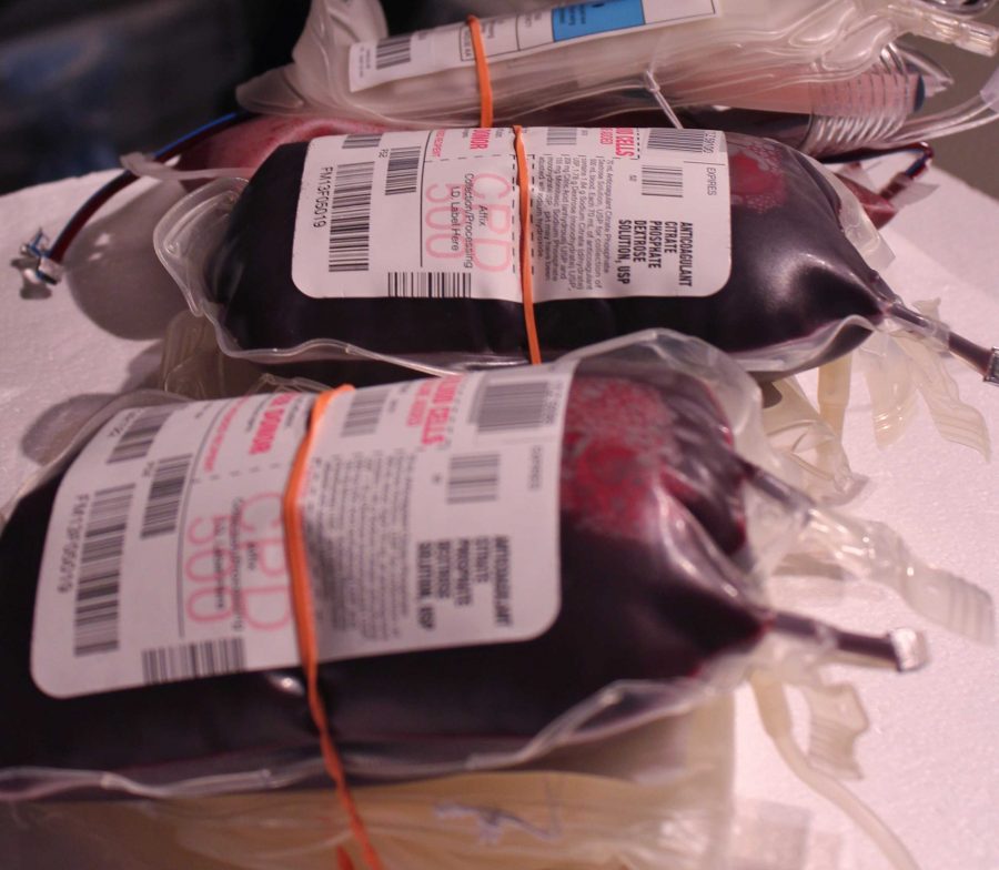 
The National Honor Society’s 2013 blood drive gathered more units of blood than previous years.