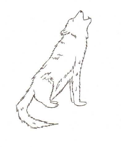 Graphic by Clara Ilkka