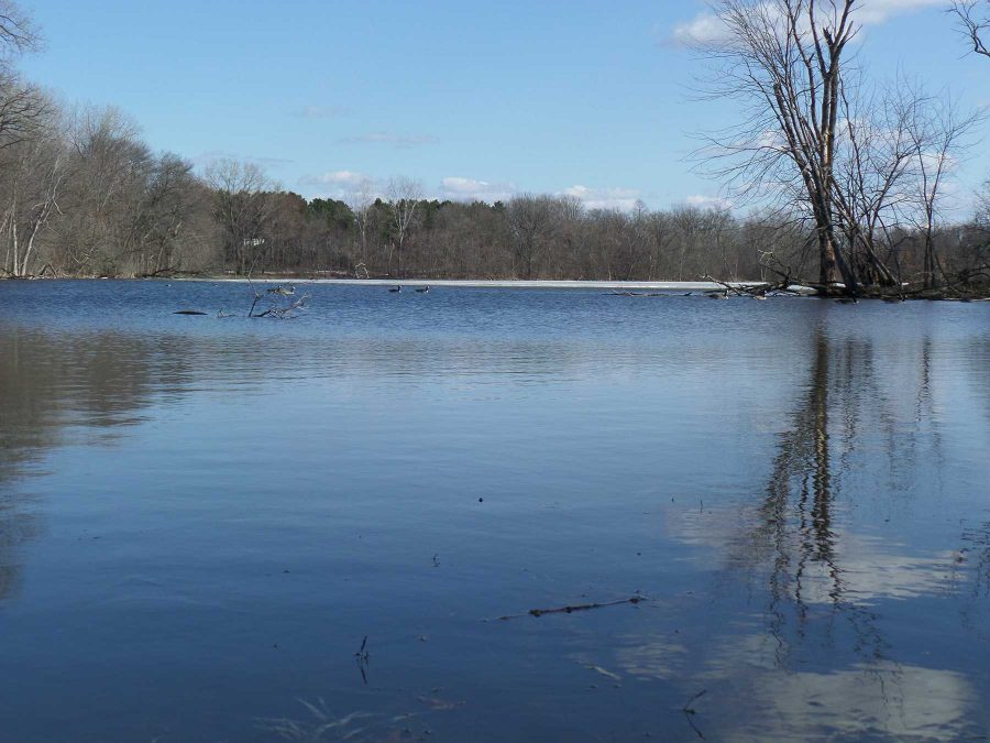  With the state now providing a grant to Washington county there will be cleaner lakes and rivers. “I think it will increase the amount of people who want to swim in the river and also make it more fun because it won’t be gross,” said junior Carter Sanderson. 