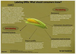 Time to indicate GMO health risks on food labels