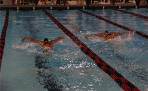Swimmers are neck in neck as they push towards the final lap.
