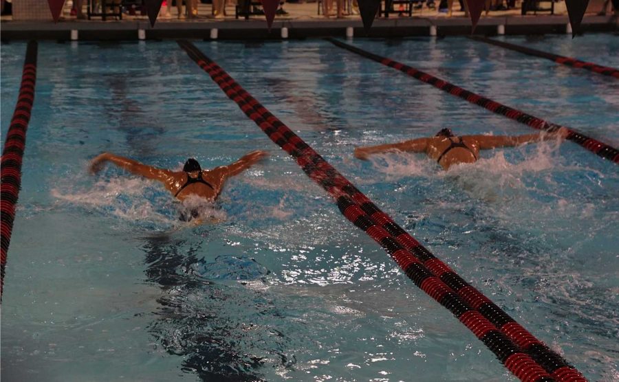 Swimmers are neck in neck as they push towards the final lap.