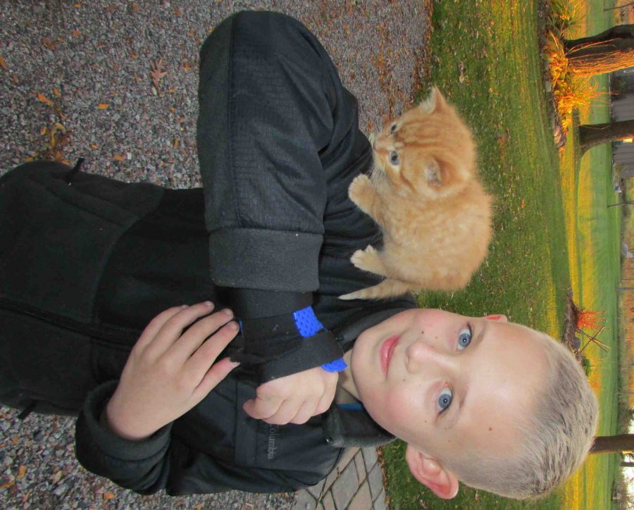 Ethan Gagner displays his newly found kitten Julia. Ethan found her underneath his grandpas 4-wheeler over the weekend. Feral cats are increasing in number due to escaping domesticated felines. I really like [the cats] but I dont think that we will keep them as pets. It is the collective opinions like this that lead to the epidemic.