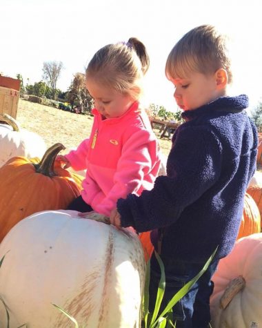 Halloween traditions for all ages
