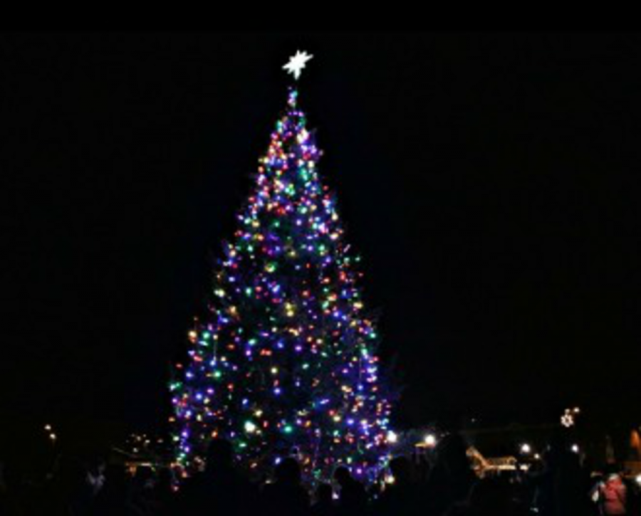 The Twinkle Parade starts at the Dock Cafe and ends with the lighting of a 40 ft balsam fir tree. Jerry Helmberger explained, “Overall, it was a fabulous event and great for the city and the kids.”