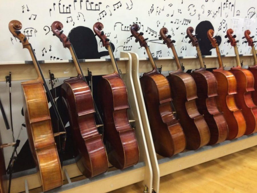 A row of cellos before class in the orchestra room awaits to be played in preparation for either a soloist or the concerto competitions approaching in early March. 
