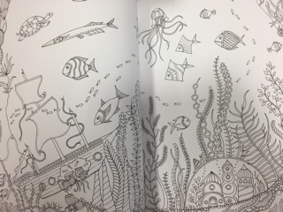 Coloring has been known to help the artist express themselves. “If I’m feeling creative, but don’t know what to draw, the books have already designed pages for me to fill in,” junior Maddie Meissner says. With these books you can color inside the lines, or outside. 