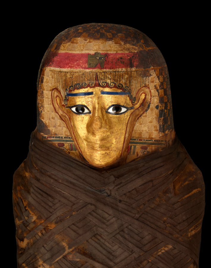 Mummies: New Secrets of the Tombs opened Feb. 19. This mummy headdress featured in the exhibit is made of glued layers of papyrus called cartonnage and is covered with gilding. The Egyptians believed the gold would keep the face intact in the afterlife. “The exhibition, which features mummies from the preeminent collection of the world-renowned Field Museum in Chicago, juxtaposes ancient specimens with the modern science that has given us new glimpses into ancient Egyptian and Peruvian cultures,” says the Science Museum of Minnesota’s website.
