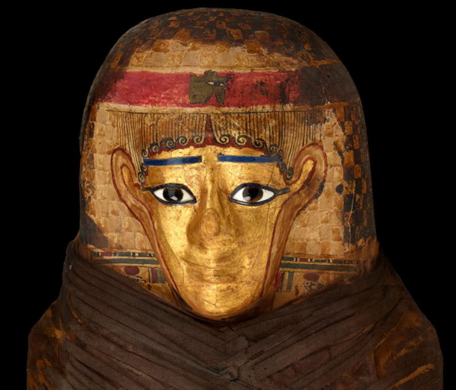 Mummies: New Secrets of the Tombs opened Feb. 19. This mummy headdress featured in the exhibit is made of glued layers of papyrus called cartonnage and is covered with gilding. The Egyptians believed the gold would keep the face intact in the afterlife. “The exhibition, which features mummies from the preeminent collection of the world-renowned Field Museum in Chicago, juxtaposes ancient specimens with the modern science that has given us new glimpses into ancient Egyptian and Peruvian cultures,” says the Science Museum of Minnesota’s website.
