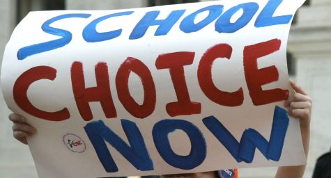 Bridging educational inequality through choice