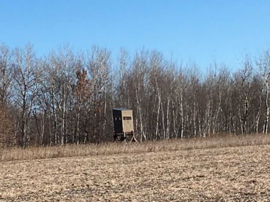 A box stand on the edge of a field in Northern Minnesota, ready for deer hunting. Zach Cowley says, “A box stand is a lot more comfortable than being 10 feet in a tree in the open.”
