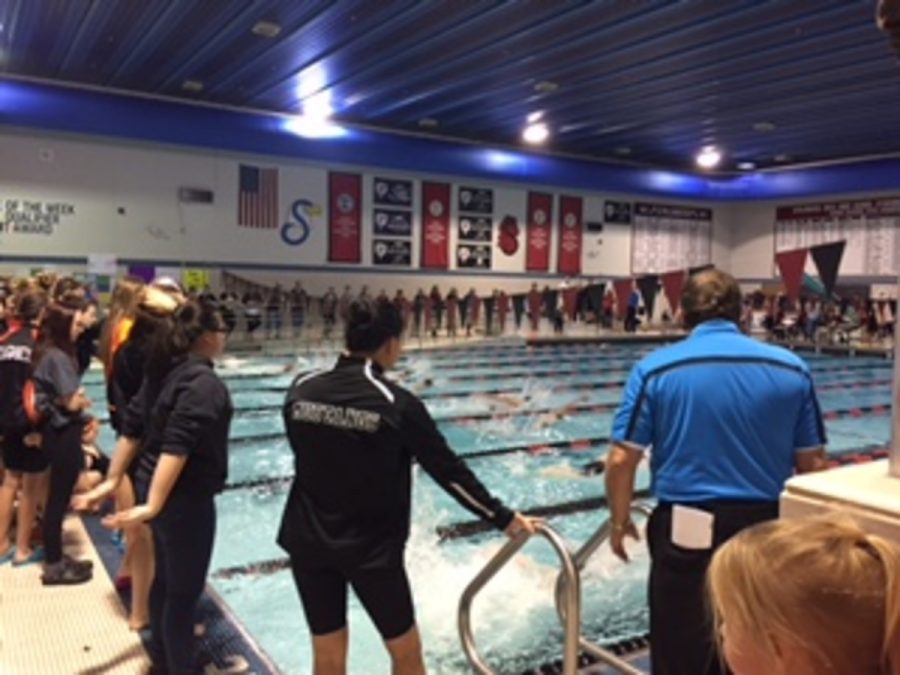Members of the swim and dive team compete in the section meet on Nov. 10 as fans and teammates cheer them on. Its so much fun to compete in front of all of your teammates and in front of so many fans, sophomore Mahdi Lather said.