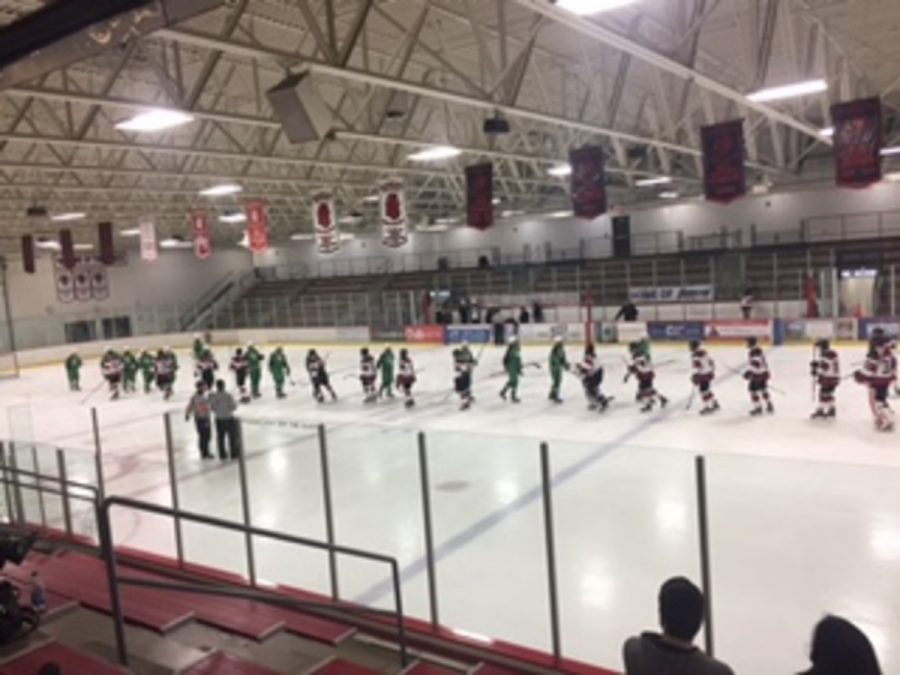 Tying against Edina 4-4. “Ive always loved watching hockey because I grew up watching my brother play on J Gold and now that my boyfriend plays on the J Gold team I get to continue to watch hockey,” junior Madi Schaffer says.