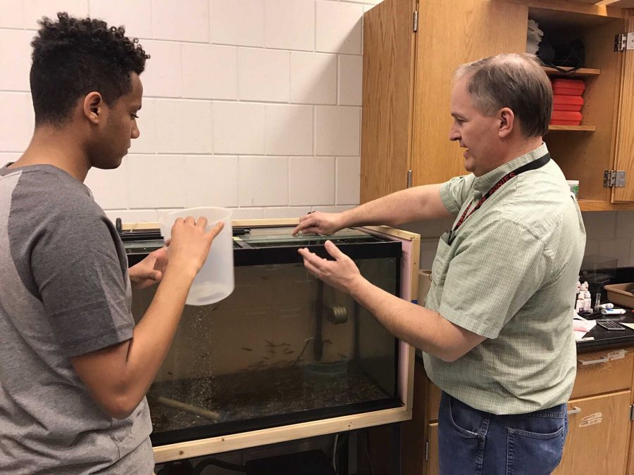 Photo by Aaron Yang-
Boettcher helping a student learn how to scoop fish into a containing, and measuring the weight of the fish. Its a real pleasure to work with students that have an interest in the area, Boettcher says.