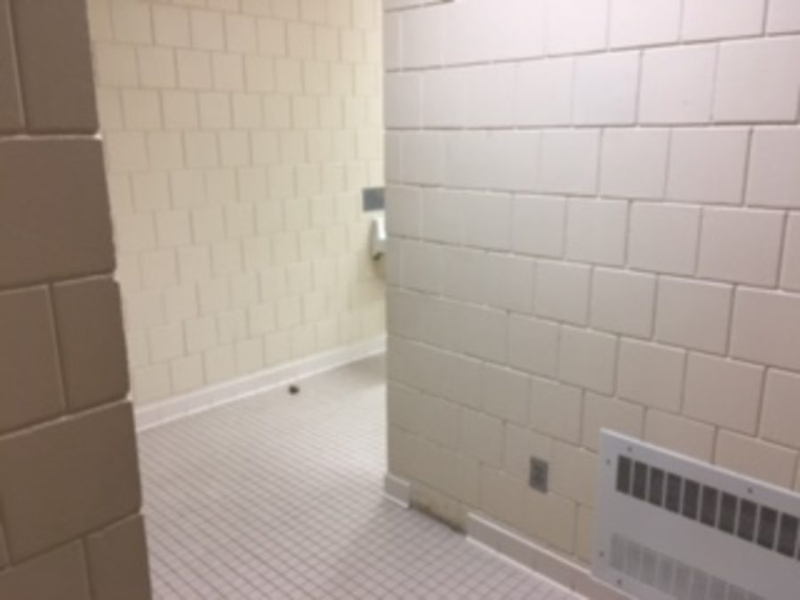 All of the bathrooms at SAHS have barrier walls in them, which give students privacy even if the bathroom door is open. “These are public bathrooms with privacy walls. Having the bathroom door open still allows for the necessary privacy,” Assistant Principal Matt Kraft says.

