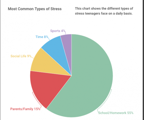 homework stress facts