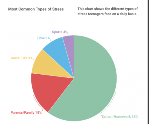 Continuous cycle of stress causes difficulty in learning