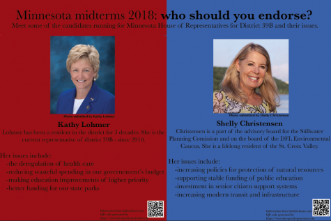 Minnesota midterms 2018: who should you endorse?