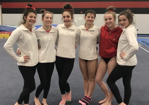 State champion gymnasts prepare for upcoming season