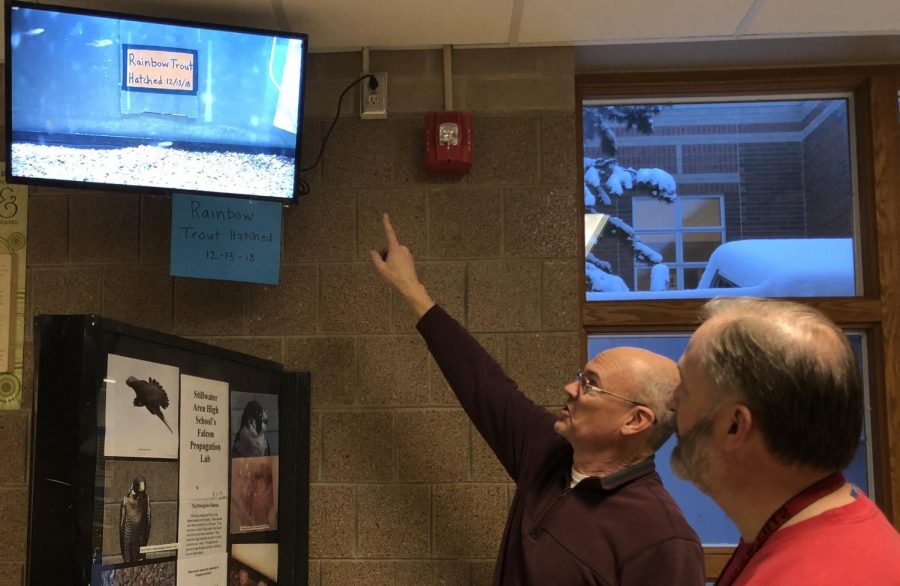 Weaver points out live-stream of the fish tank. The tank contains hundreds of baby trout. 
