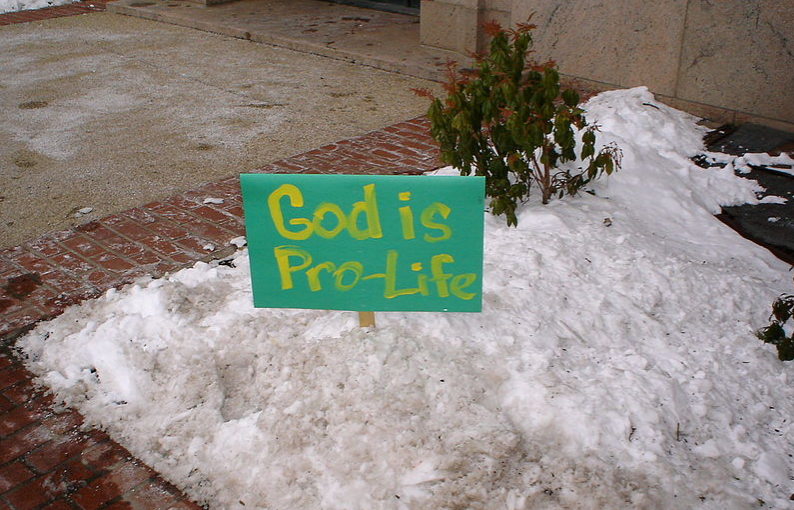 Through protests, signs and organizations, anti-abortion ideas have been cycling throughout America. Since the release, signs like these have been propped up on personal properties. 