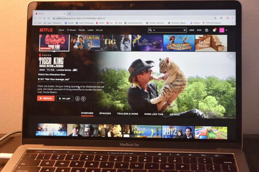Popular Netflix documentary, Tiger King has left many scratching their heads in amazement. It details the story of wild tiger and zoo owner, Joe Exotic, and his crazy ride with his enemies.