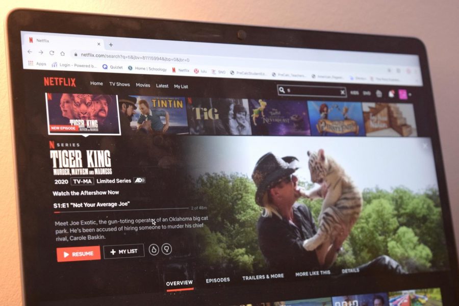 Popular Netflix documentary, Tiger King has left many scratching their heads in amazement. It details the story of wild tiger and zoo owner, Joe Exotic, and his crazy ride with his enemies.