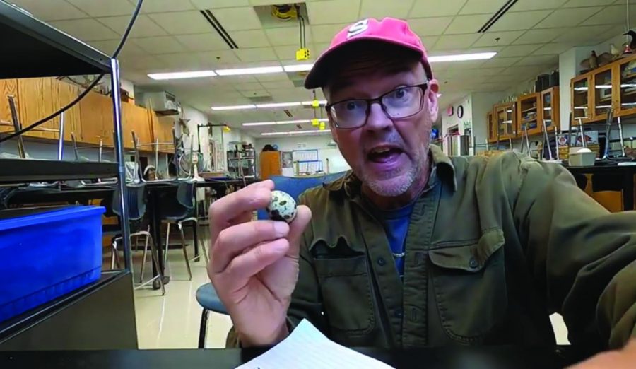 Weaver explains different types of biological sexual reproduction with the visual aid of a bird egg.