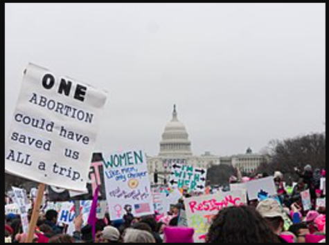 Womens march at the U.S. capital in order to keep Roe v. Wade in place and protect a womans abortion right. 