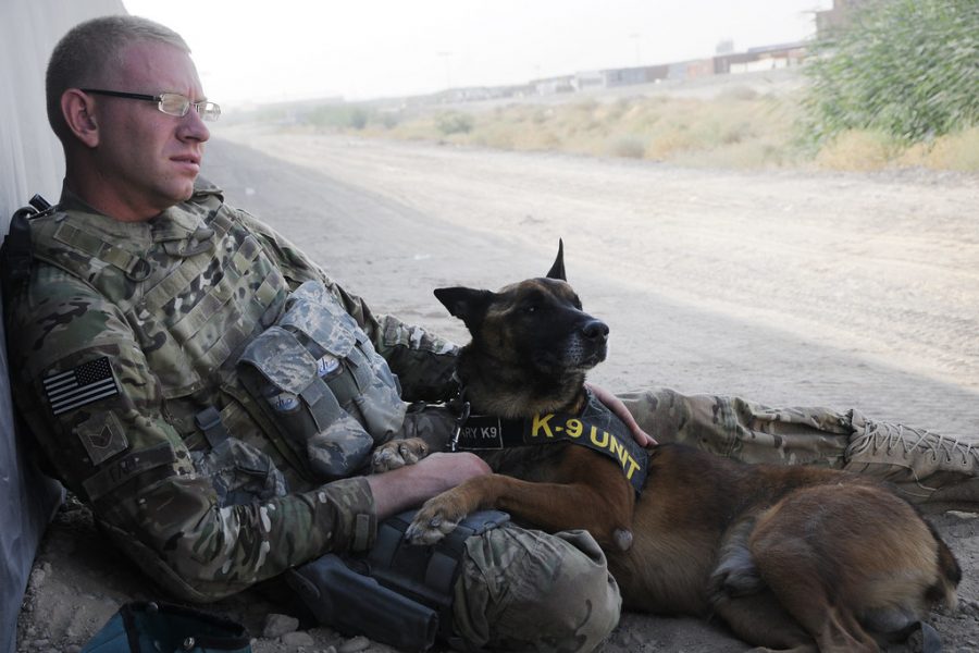 U.S. Air Force member stationed in Afghanistan relaxes with his K-9 partner. As a result of the Taliban’s uprising after U.S. withdrawal on Aug. 30, troops are being deployed again.