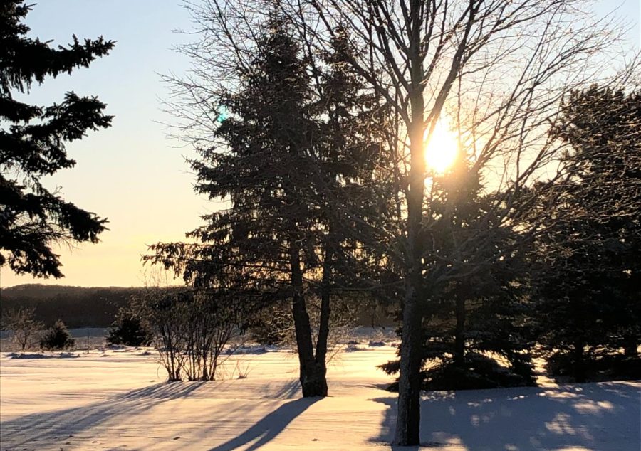 The sun shining through the trees early morning after the first snowfall of the 2021 winter season.