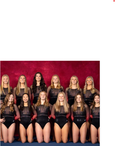 Chloe Stanton (third from left, first row) and the rest of the 2022-2023 gymnastic team lining up for pictures