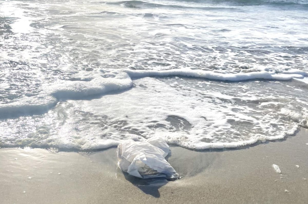 A piece of plastic floats in the ocean in California. Long Beach is covered in millions of microplastics and single-use plastics. Most of this waste is created from food products. 