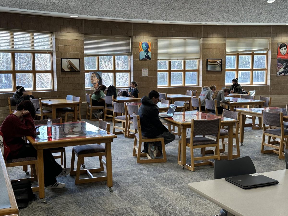 Students on computers in the library.