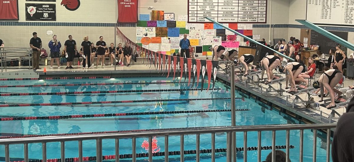 Swimmers start the final wave of girls 100 yard freestyle Nov. 2. Seven girls are in the pool at this time, and Stillwater takes the lead.