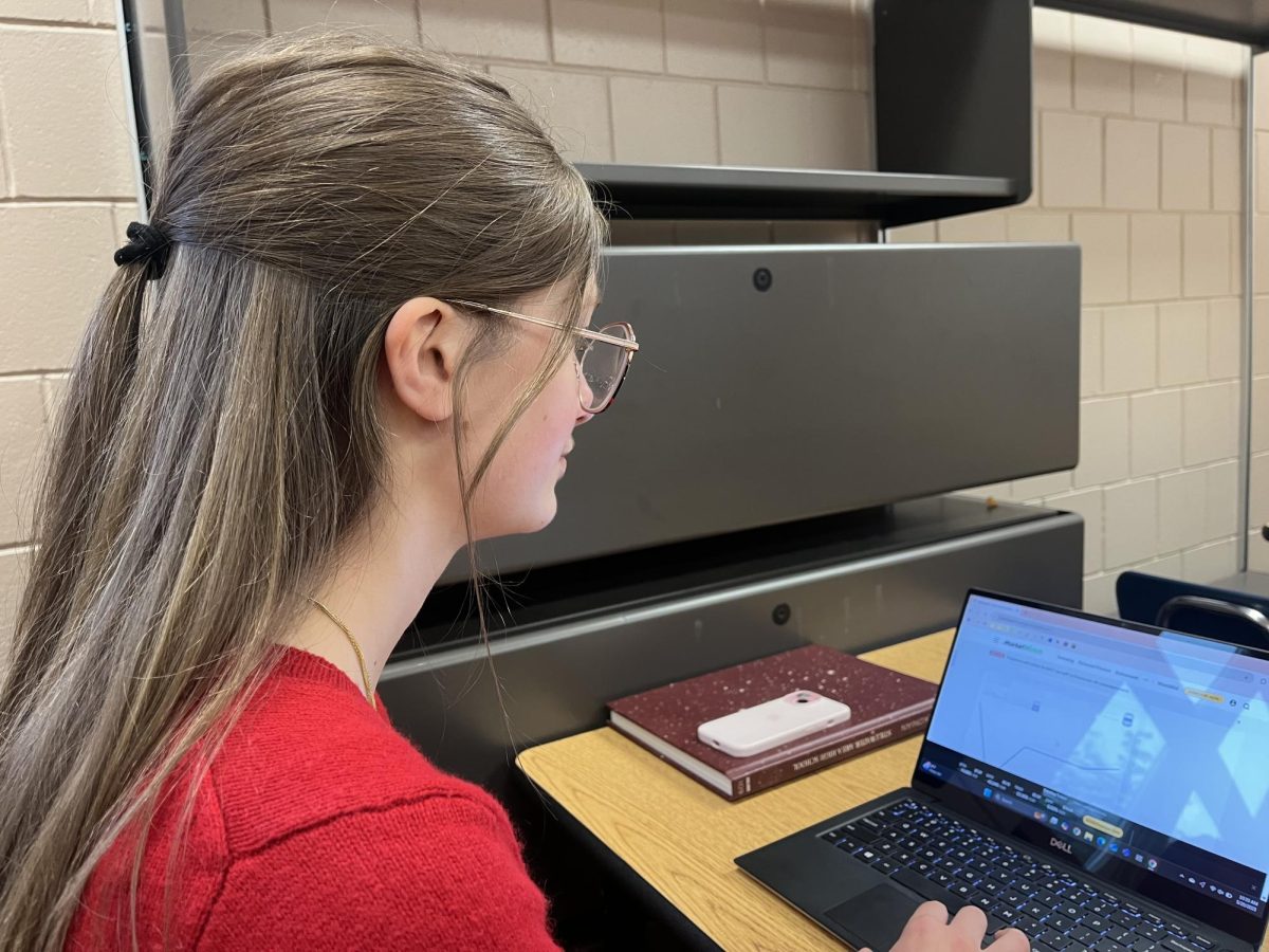 Senior Netta Hillegass checks her virtual stock portfolio in personal finance. She sees if the market made money at the start of class.
