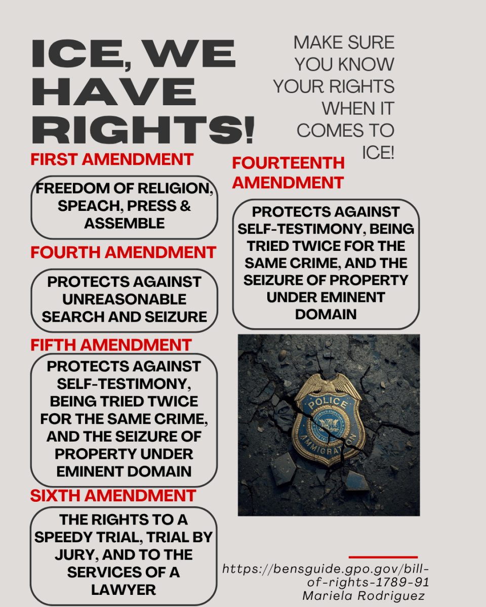 This poster helps show the rights citizens have against ICE.