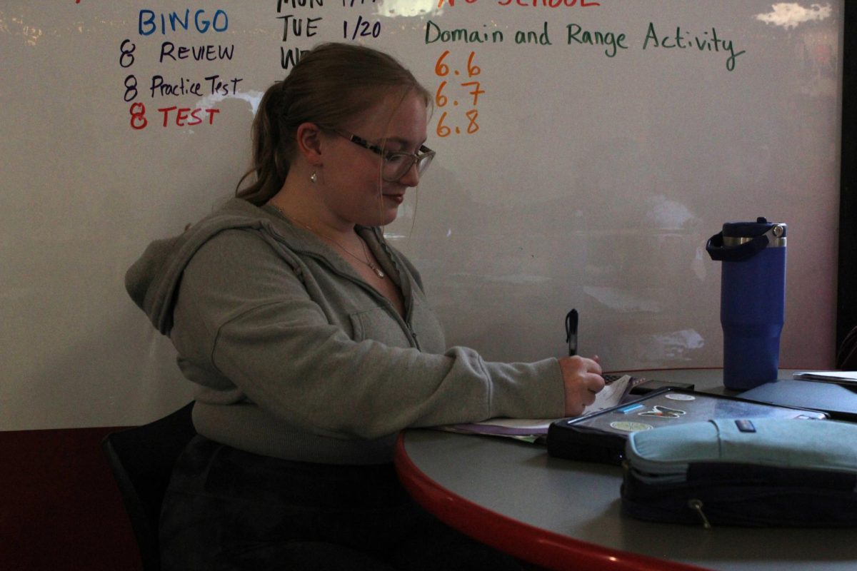 Natalie Schmitt works hard in math class. 