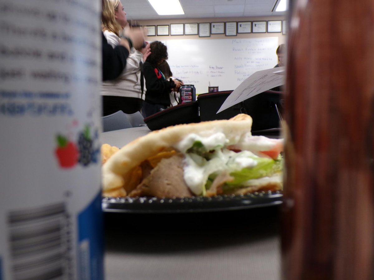 All of the ingredients in the sandwich are shown. The creamy cucumber sauce tops the rest of the sandwich's ingredients. 