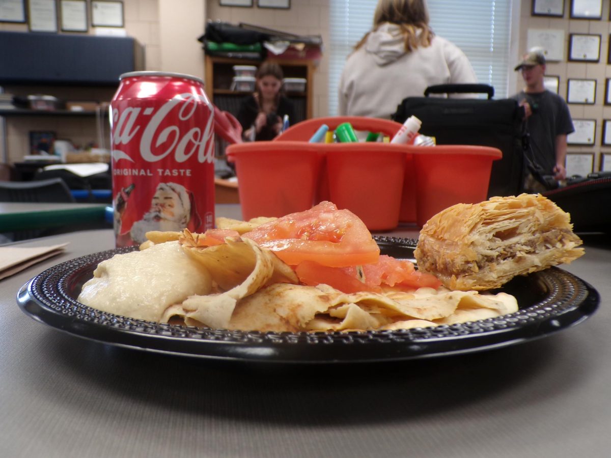 Soft pita, savory meat, and instant happiness in each bite. The crunchy Baklava added the perfect crisp to the plate. 