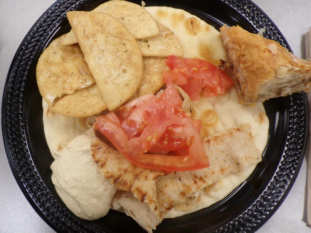 With the up close and personal visual, you can taste the crunch of the pita chips through the camera. The warm and soft pita underneath displays a comforting feel.