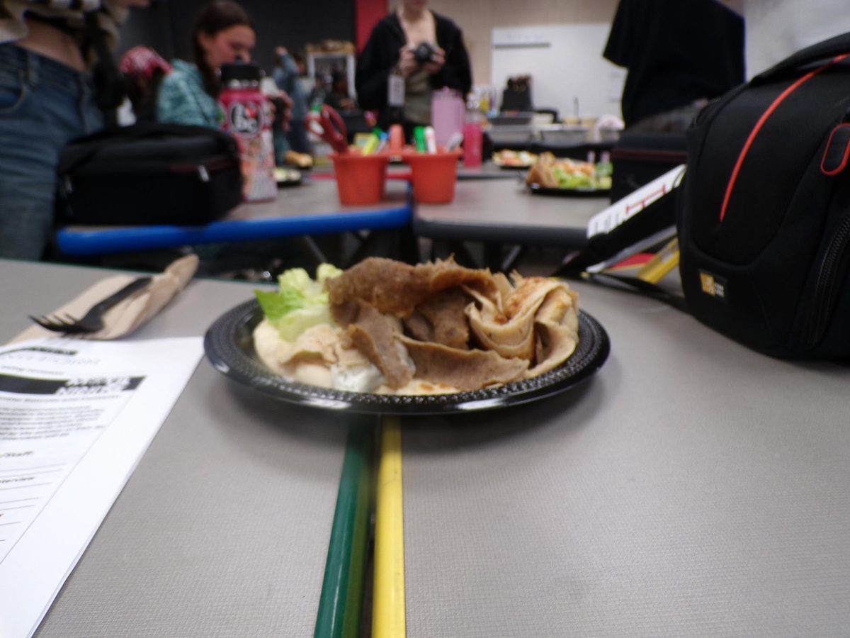 The meat was thin and neatly sliced. The gyro fit the plate nicely.