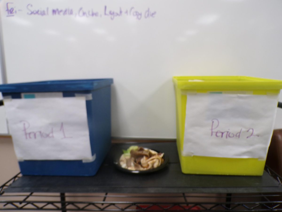 The gyro really takes the spotlight. It smells better than the 2 bins.
