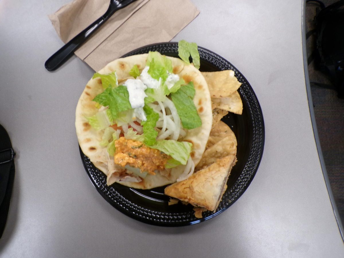 A soft, loaded gyro sits on the plate with fresh veggies and creamy sauce. A crispy samosa rests beside light, salty chips.
