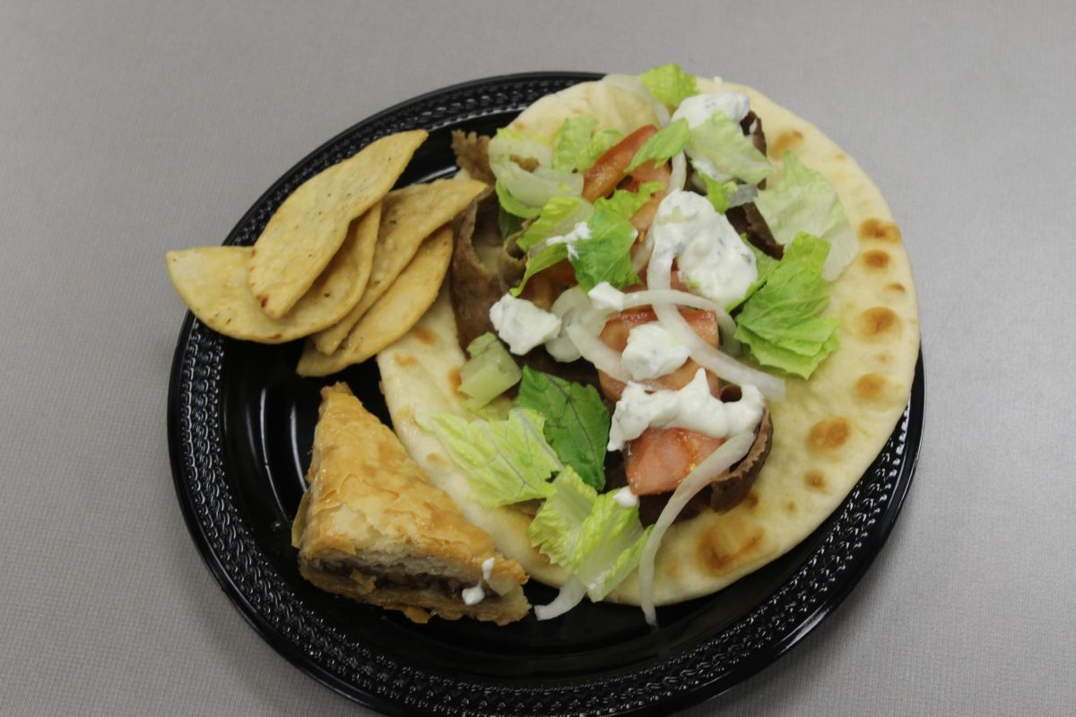 The plate takes the center stage yet again, from this angle we can see the pita's golden brown spots illustrating how well it has been cooked. Also at this angle we can see some of the other members of the plate, focusing on the pita chips which are a nice tanned gold.