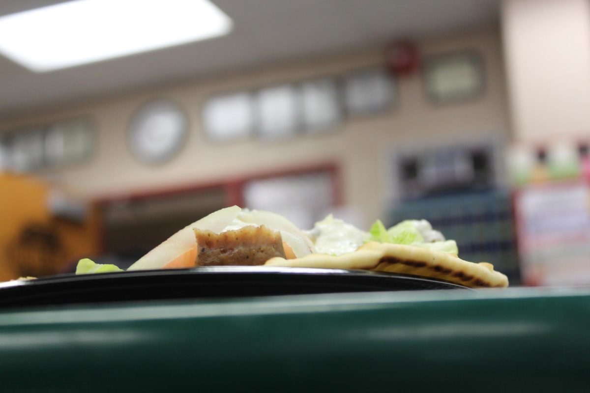 Another angle of the plate, this time taking a different approach. We can still somewhat see the green lettuce however here we can see more of the beef and pita, from this angle we can tell the beef is nicely browned, and the pita well cooked as we see some marks on the bottom. 