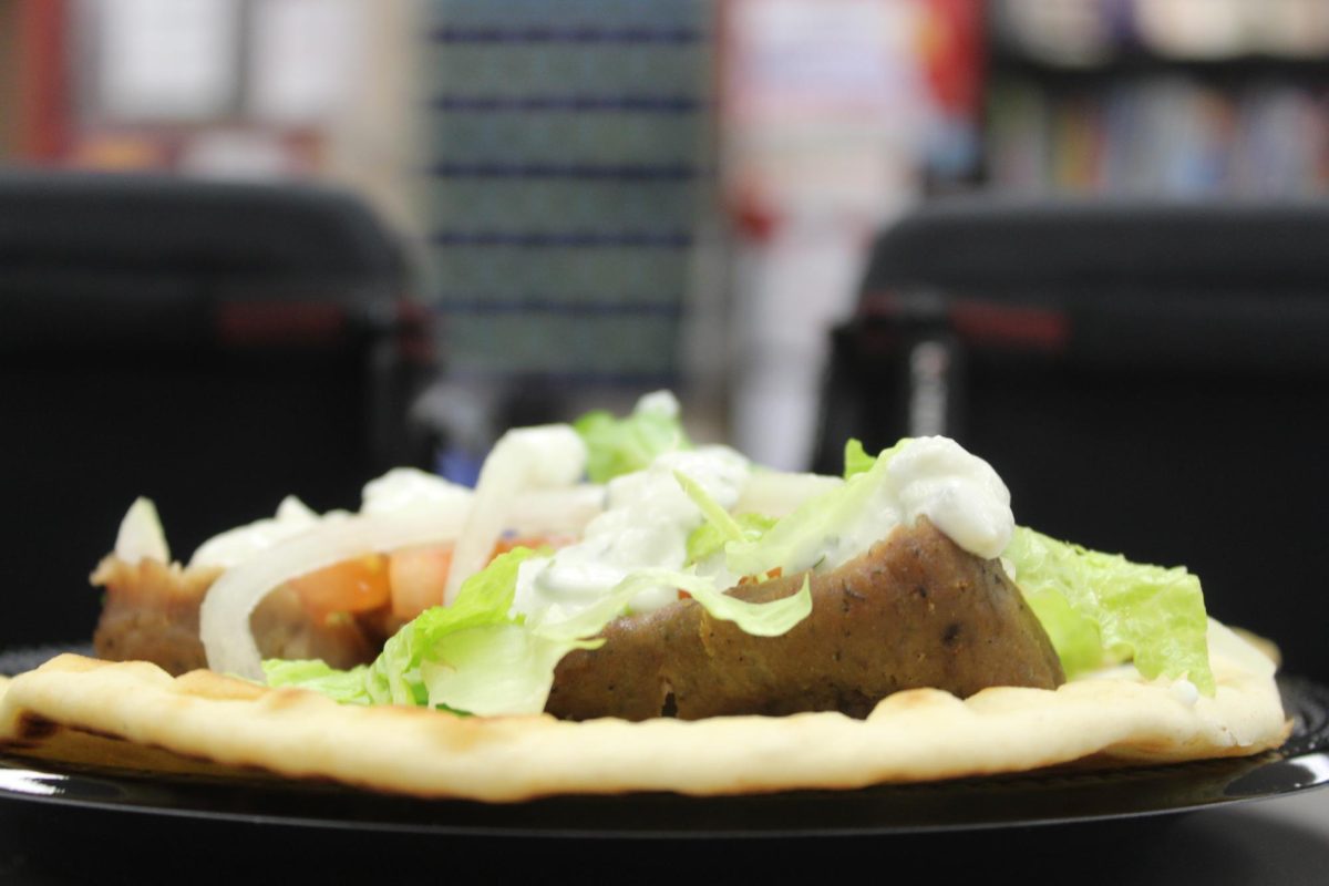 The packed plate is now poised between two black camera bags. From this angle, the light beige pita takes focus over the plate, making it look as if it is the plate.