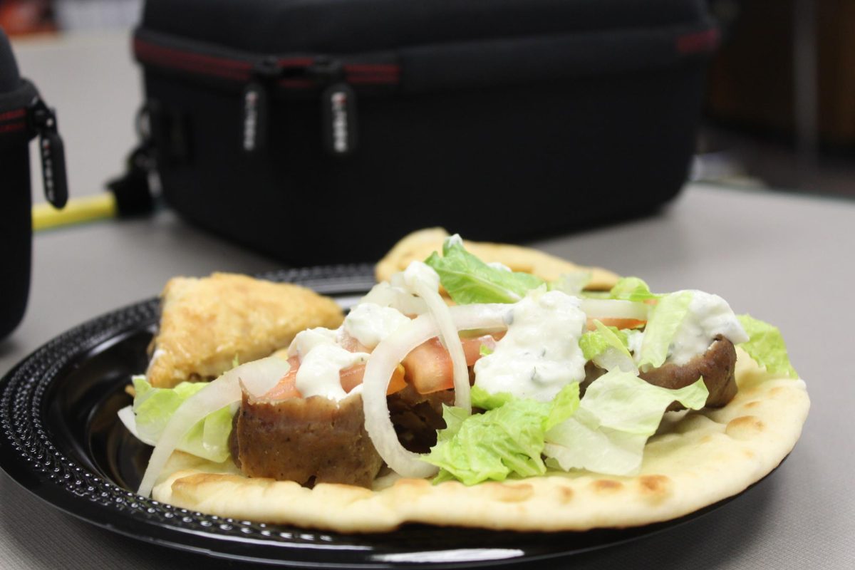 The plate again seen with a black camera bag, still with a noticeable lack of pita chips. The plate still grabs your attention with the colorful toppings of the gyro with the lack of most of the chips.