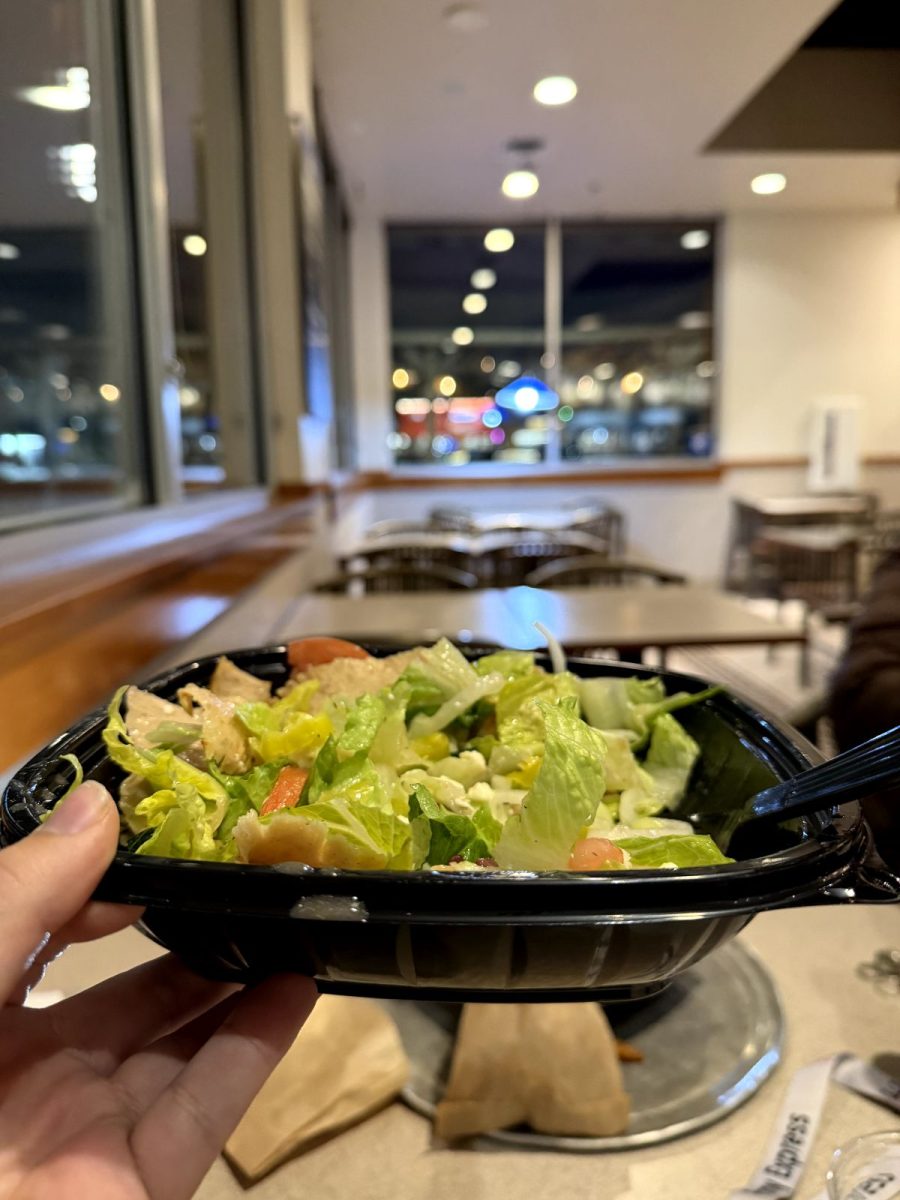 The bright green salad, paired with tender chicken and creamy sauce, feels like an experience done right. The bright colors of the vegetables don't lie with each bite exploding a range of tasty flavors in your mouth.