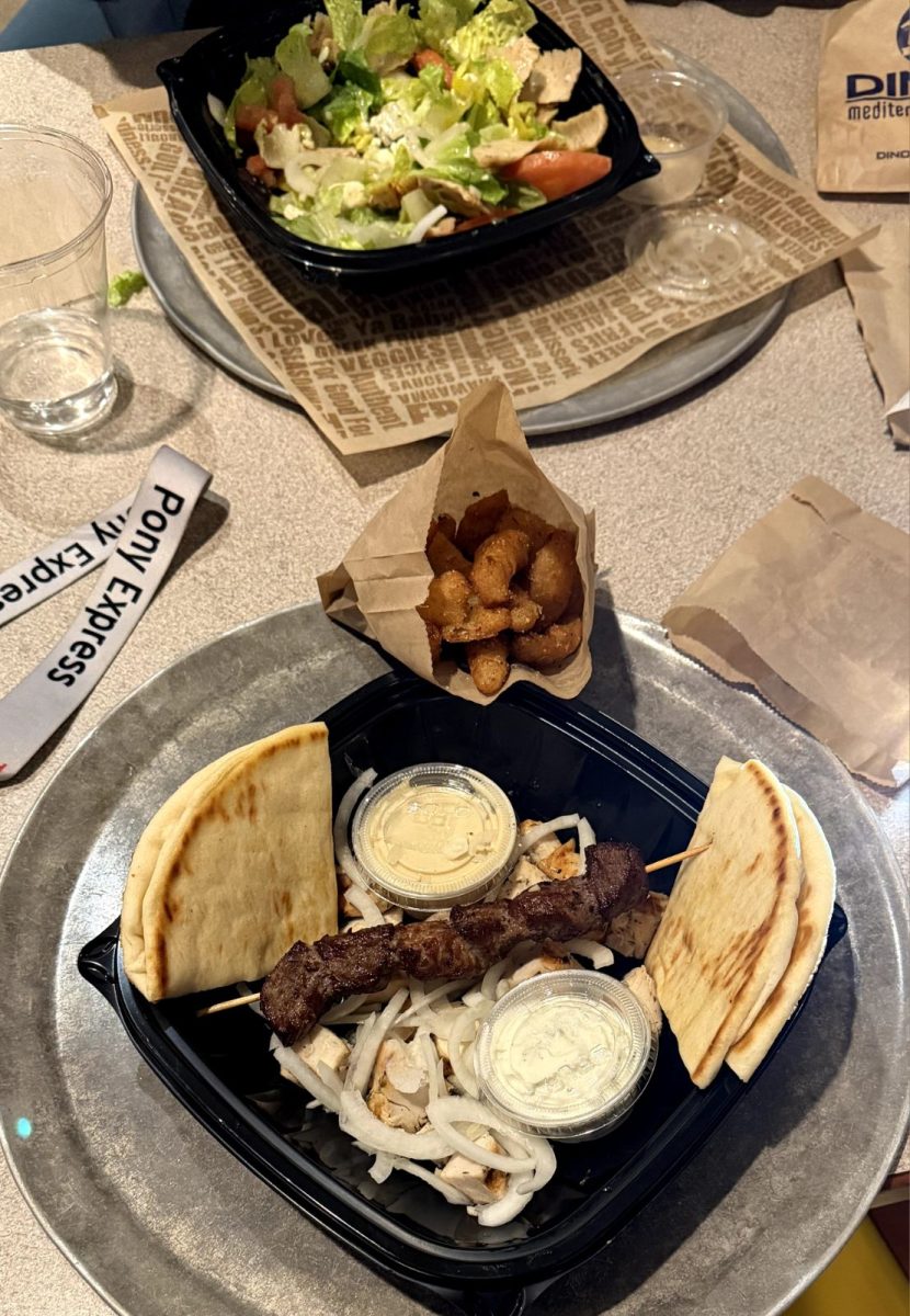 From above, you can see that the meal is organized and not messy. Each item is easy to see and was prepared carefully but quick.